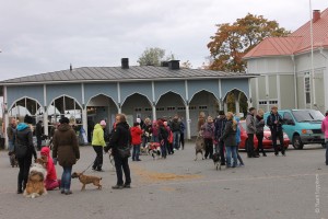 IMG_6537