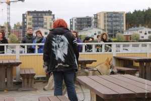 IMG_6615