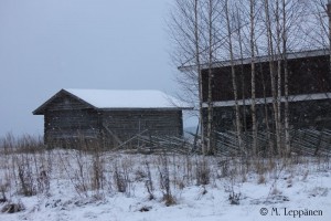 Kävely20160103_1