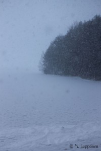 Kävely20160103_2