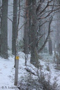 Kävely20160103_3